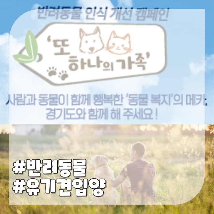  유기견 입양, 반려동물 인식개선을 위한 캠페인 공모전