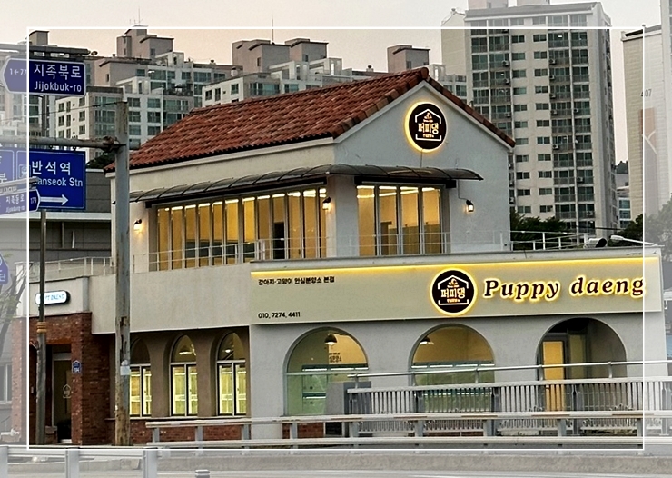  대전유기견입양 확실했던 퍼피댕안심보호소