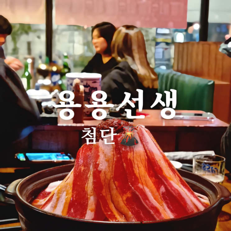  마라 전골이 유명한 첨단 술집 용용선생