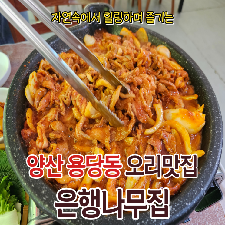  양산백숙으로 유명한 용당동맛집 은행나무집에서 힐링하고 왔어요!