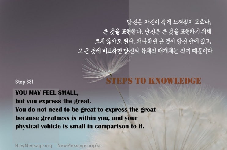 제 331 계단 : 작은 것이 큰 것을 표현한다 What is small expresses that which is great.