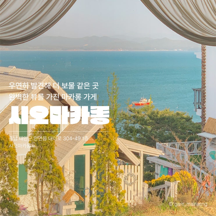  태안 안면도 시오마카롱 분위기 좋은 애견동반 오션뷰 카페