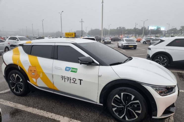  인천공항 픽업 샌딩.서울.타지역 가능해요(강동구 고덕동)
