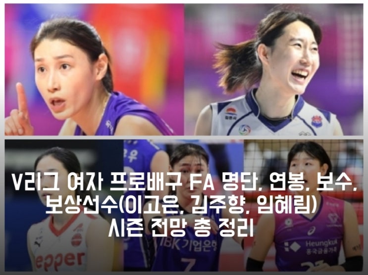 보수, <b>보상선수</b>(이고은, 김주향, <b>임혜림</b>), 시즌 전망 총 정리