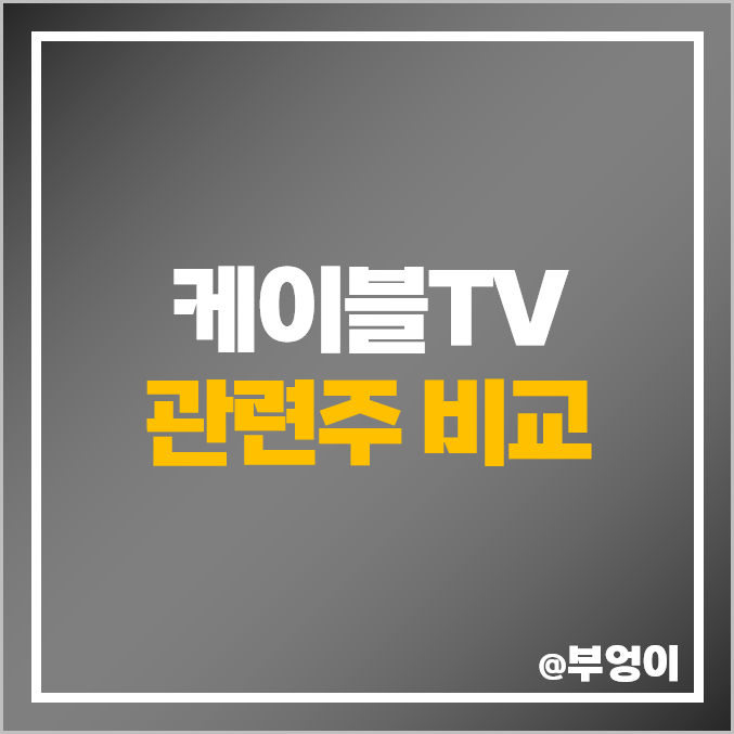 국내 케이블TV SO 및 MSO 관련주 비교 : CJ ENM 현대홈쇼핑 현대퓨처넷 남화토건 씨씨에스 태광산업 LG헬로비전 KX 주식 주가 PER PBR 배당금 시가총액 순위 국내 케이블TV SO 및 MSO 관련주 비교 : CJ ENM 현대홈쇼핑 현대퓨처넷 남화토건 씨씨에스 태광산업 LG헬로비전 KX 주식 주가 PER PBR 배당금 시가총액 순위