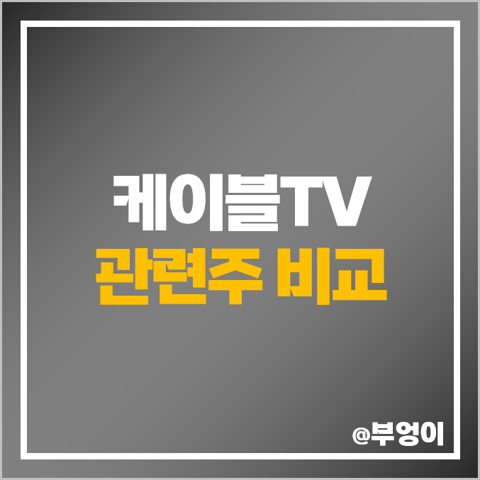 국내 케이블TV SO 및 MSO 관련주 비교 : CJ ENM 현대홈쇼핑 현대퓨처넷 남화토건 씨씨에스 태광산업 LG헬로비전 KX 주식 주가 PER PBR 배당금 시가총액 순위