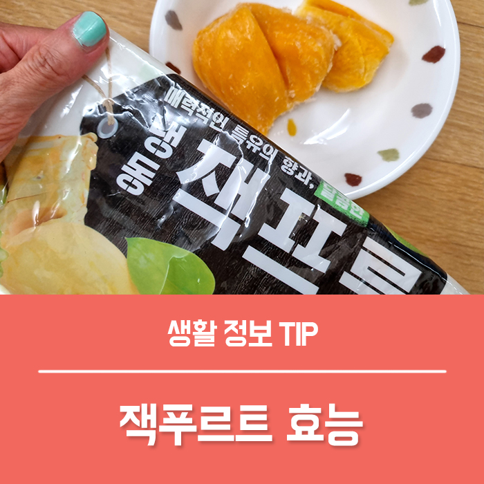  잭푸르트 효능 BEST6, 부작용은?