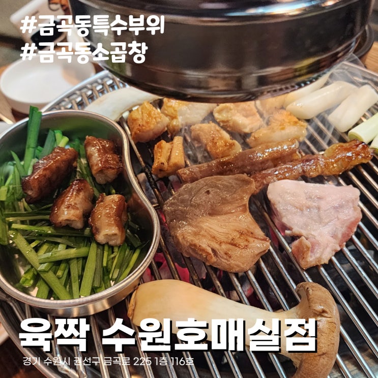  [수원/금곡동맛집] 소, 돼지, 닭 특수부위가 한 곳에 있는 소곱창 고기집 육짝 수원호매실점