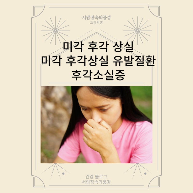 미각 후각 상실 미각상실 후각상실 원인 미각 후각 상실 일으키는 질환 후각소실증