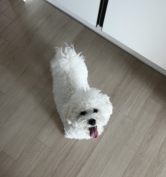 사진 3