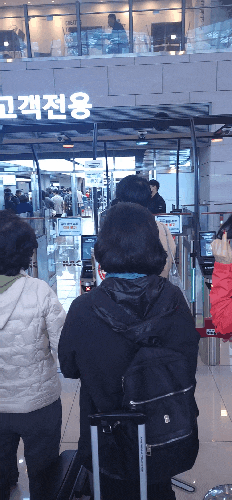  김포공항에서 제주도 여행 평일 l 바이오인증 줄도 길어서 밀림 l 아시아나항공 골드회원 줄안서도 그외 복잡함