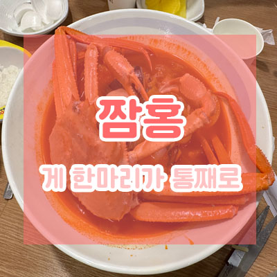 [경북/포항] 미우새 이상민 뽕지순례에 나온 게 한마리가 통째로 올라간 '짬홍'