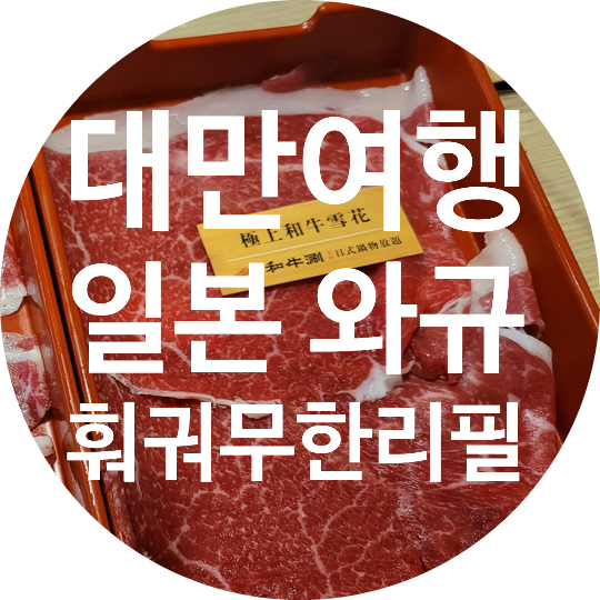  [대만] 일본식 와규 샤브 훠궈 무한리필집 (和牛涮, Wagyu Shaby Taipei Zhongxiao East Branch)