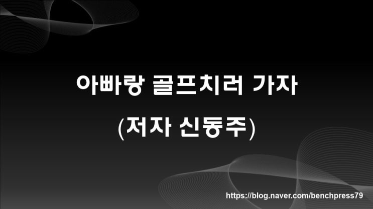 아빠랑 골프치러 가자(신동주 저자)