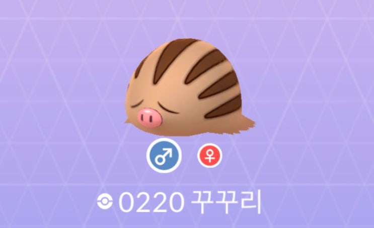 잠시 후 포켓몬고 4월 커뮤니티 데이(복각) 꾸꾸리 및 진화체