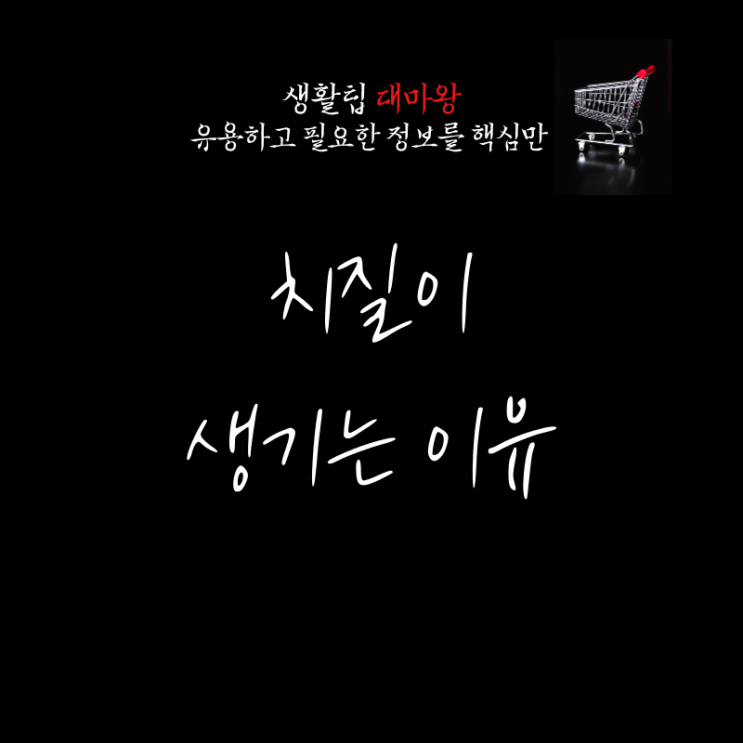  치질의 원인과 뜻을 알아봐요