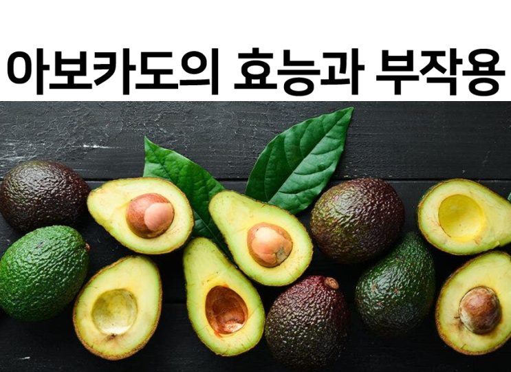  아보카도의 효능과 부작용을 알아보자