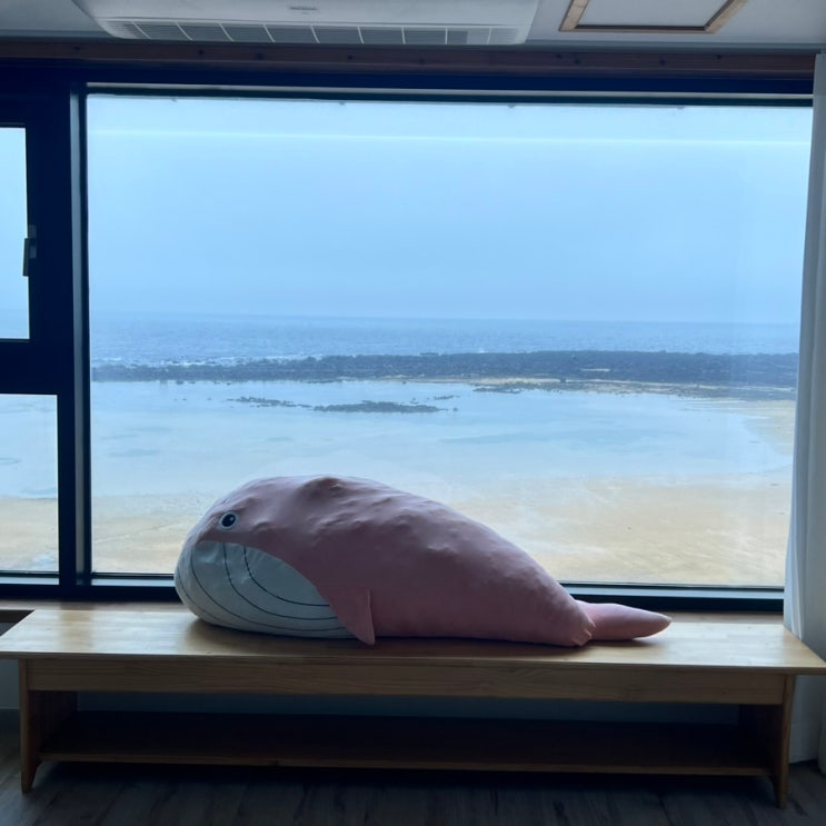  제주서쪽숙소 도구리알 구경과 함께 도구리3083