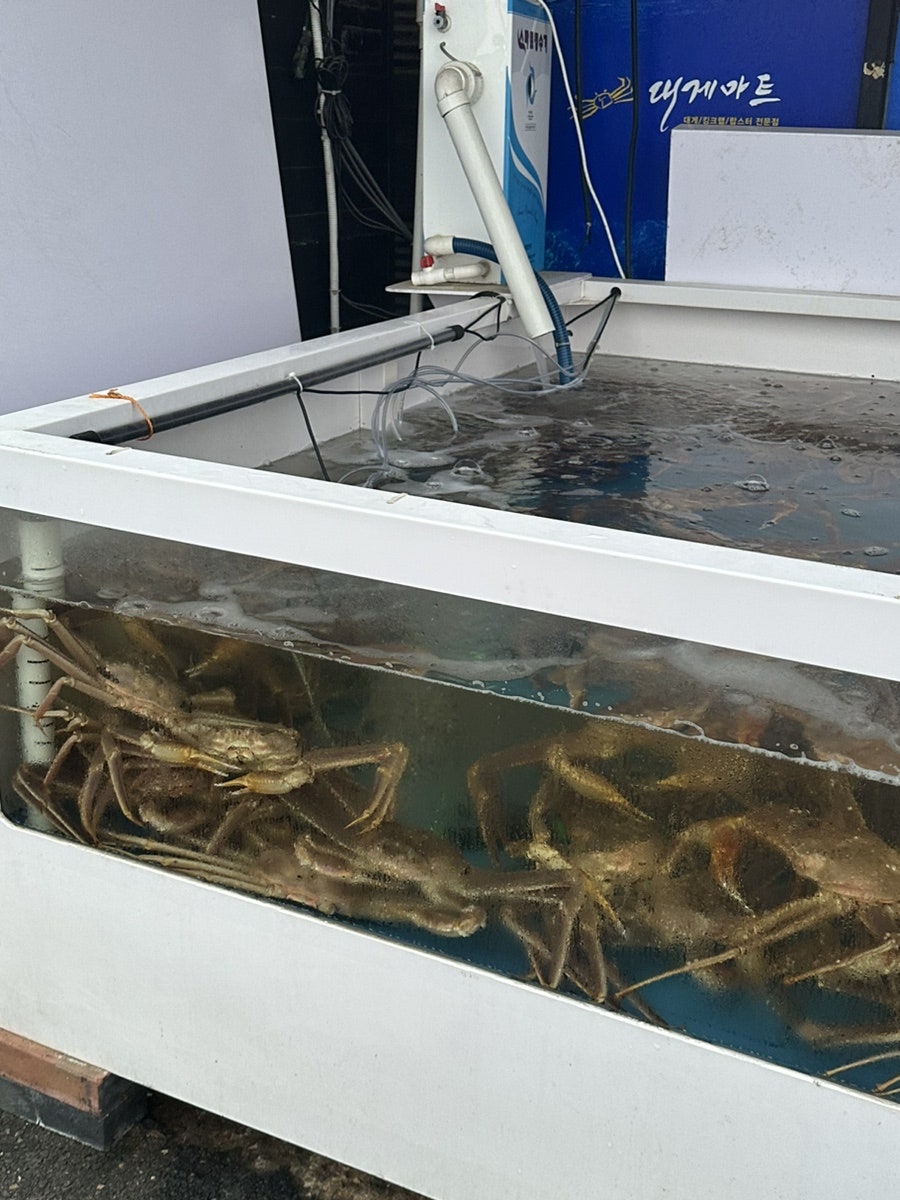 대게마트 진천점 사진 2