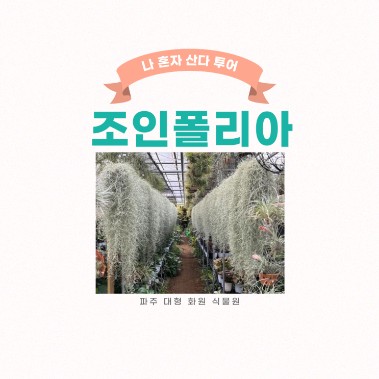 나 혼자 산다 우도환 식물원 화원 조인폴리아, 파주 갈만한 곳