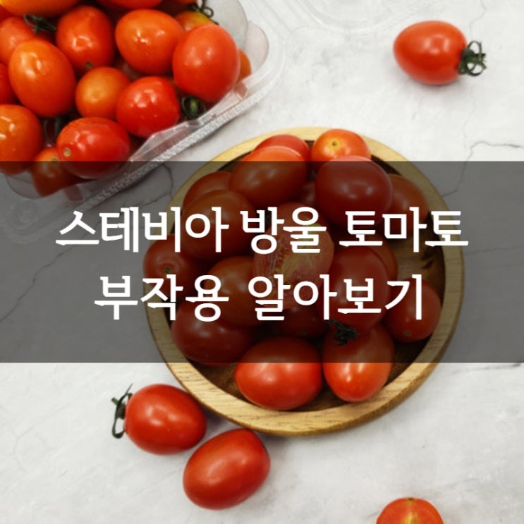 스테비아방울토마토 부작용 구토설사 복통 임산부 ㅣ 섭취시 주의사항