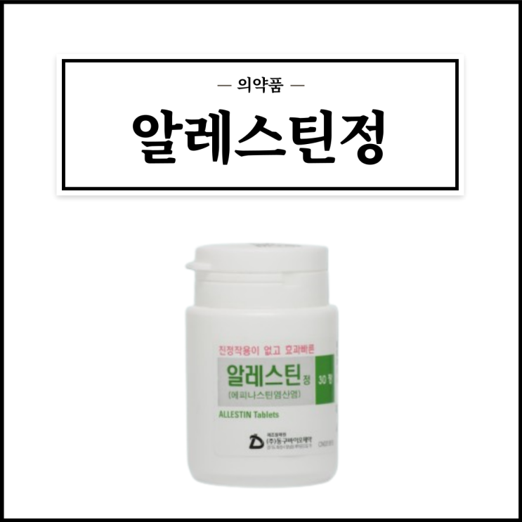  알레스틴정, 효능효과/복용법/부작용/주의사항 등 간단정리