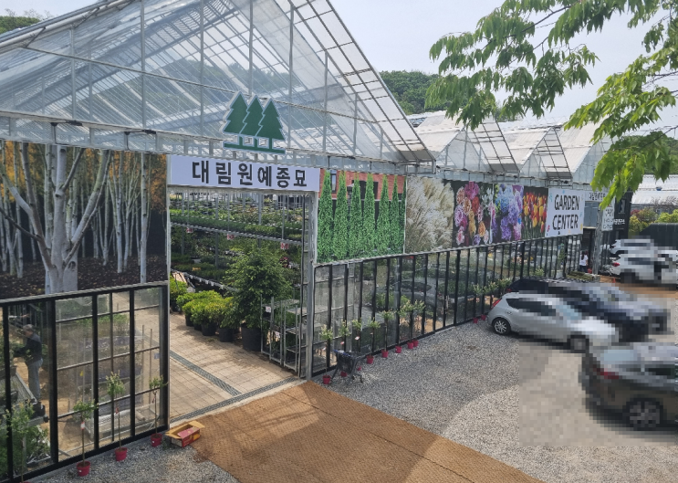 [JK 농원] 내곡동 대림원예종묘 탐방기 - 새매장 이사 후 방문기