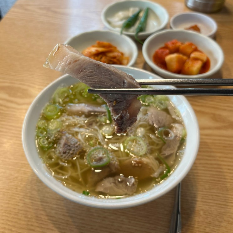  올레시장 근처 맛집 '고씨네천지국수' 멸고국수 아침식사로 딱