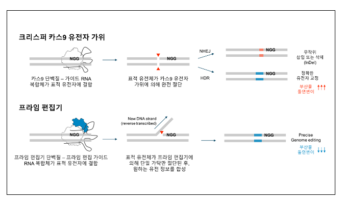 세계최고 수준의 차세대 유전자 가위 설계기술 개발