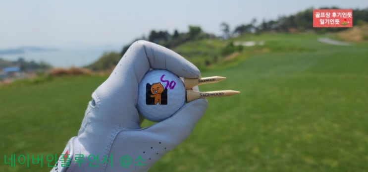  4피스골프공 추천( 카카오프렌즈골프 R4 더 라이언 에디션)