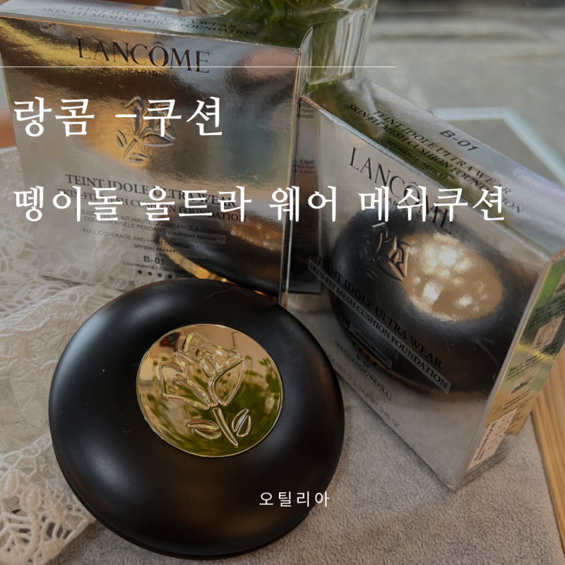 내돈내산 랑콤쿠션 뗑이돌 b01 압솔뤼 쿠션과 비교 커버력좋은 쿠션