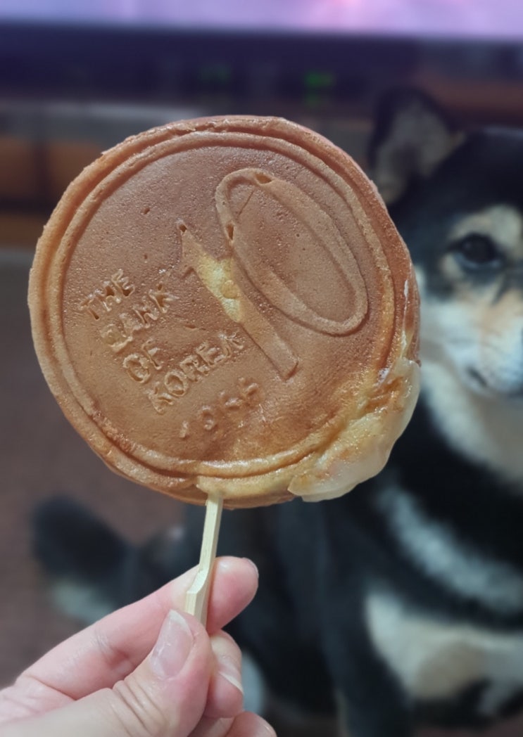  스타필드 하남에 경주빵이?! 생겼어요!!