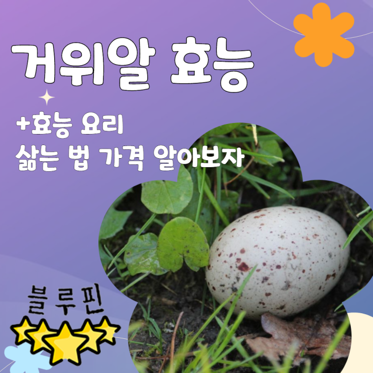  거위알 효능 요리 삶는 법 가격