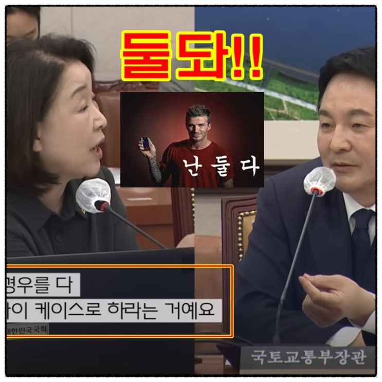  막무가내 심상정 육하원칙 원희룡 전세사기 공공매입 공방