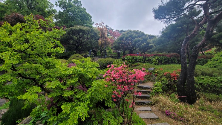  화담숲 입장 방법 모노레일 이용법 주의사항 식당정보