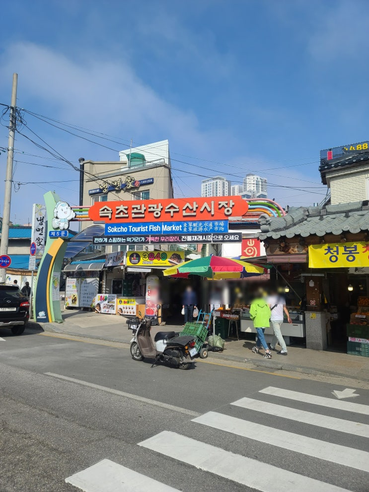  강원도 여행 속초관광수산시장 속초시장 방문