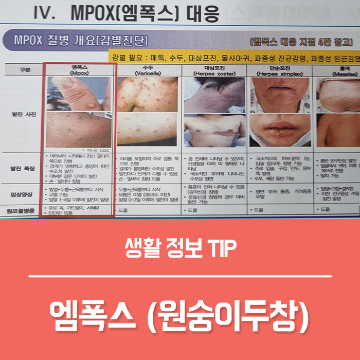  엠폭스 원숭이두창 초기증상 원인 한국 감염경로 예방법 수두 구분 대응 백신 치료제 총정리!