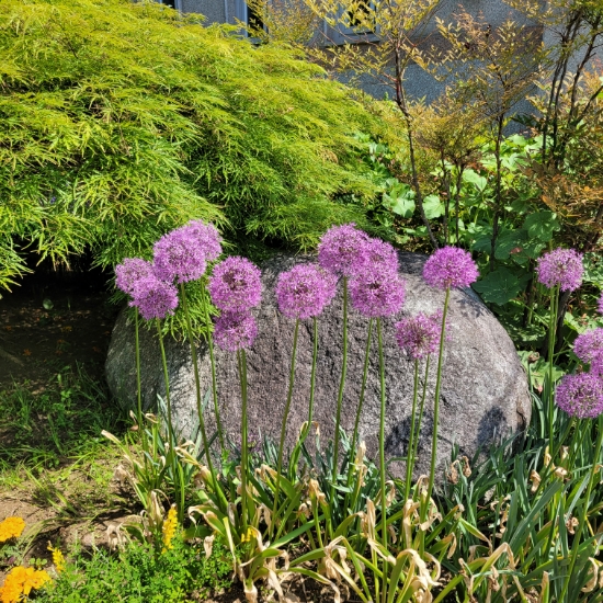  전주수목원 한국도로공사에서 무료운영하는 나들이 명소