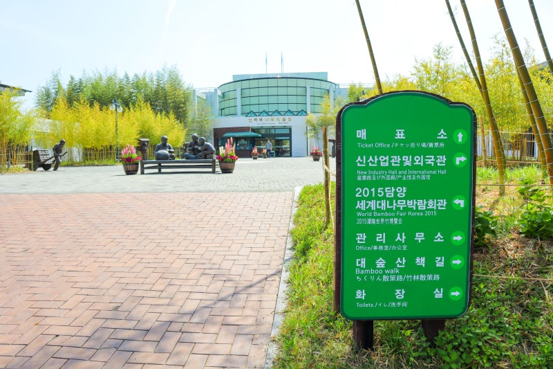 전남 담양 여행 가볼만한곳 ; 담양 한국대나무박물관 등나무 꽃구경 대나무숲 데이트 : 네이버 블로그