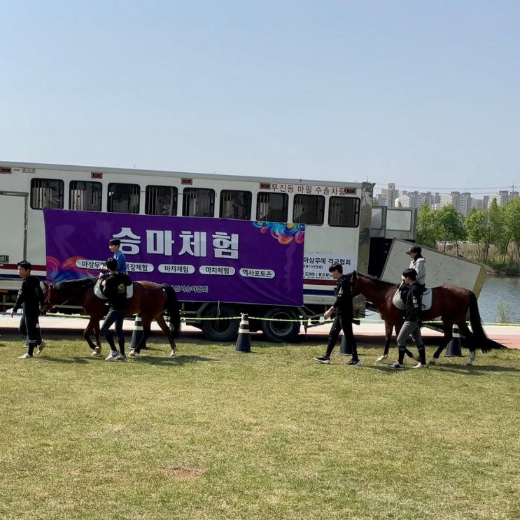 아산 가볼만한곳 곡교천 승마체험 어린이날에도 한다네요