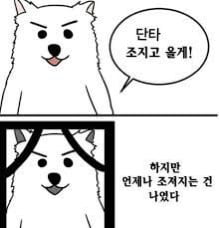 "급락 위험" 전문가 경고에도…개미들 우르르 몰려간 곳 "급락 위험" 전문가 경고에도…개미들 우르르 몰려간 곳