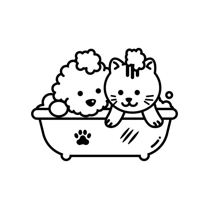 사진 7