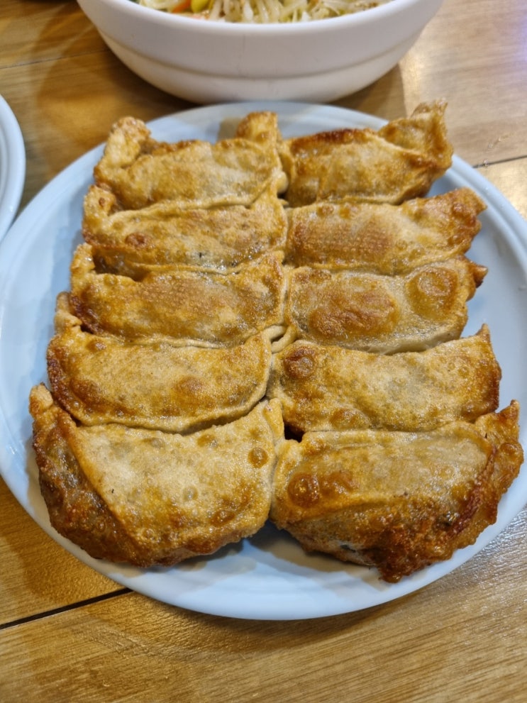  [대구 중구] 태산만두 : 동성로 맛집 since 1972 (군만두, 찐교스)