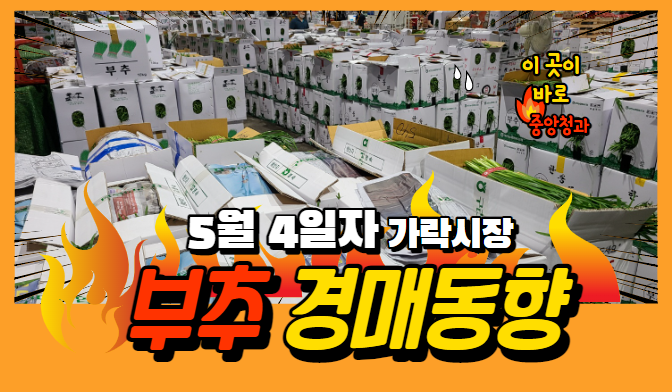  [경매사 일일보고] 5월 4일자 가락시장 부추 경매동향을 살펴보겠습니다!