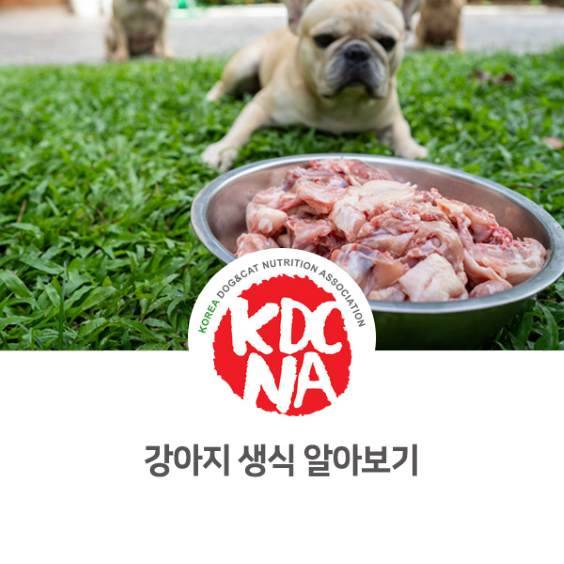  강아지 생식에 대해서 알아보자 [한국반려동물영양협회/크라운롤리/펫푸드도매/창원/하동/밀양_1115]