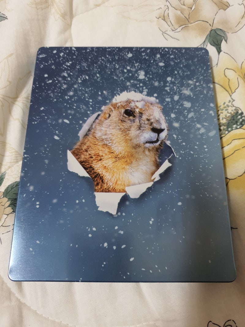 사랑의 블랙홀 (Groundhog Day, 1993) 4K 블루레이 : 네이버 블로그, image size:800x1067