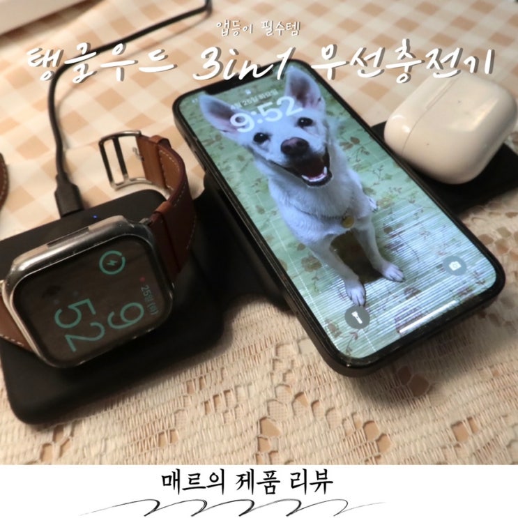  이보다 편할 순 없다 3in1 애플워치 충전기 탱글우드
