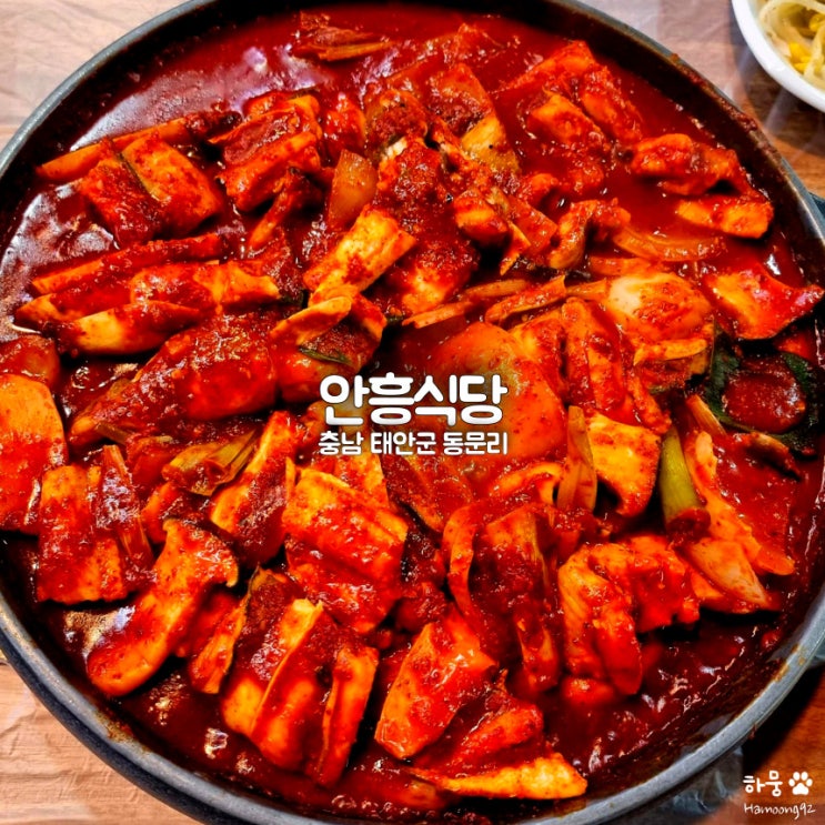  태안 붕장어 맛집 안흥식당, 식객 허영만 백반기행 아나고스끼야끼