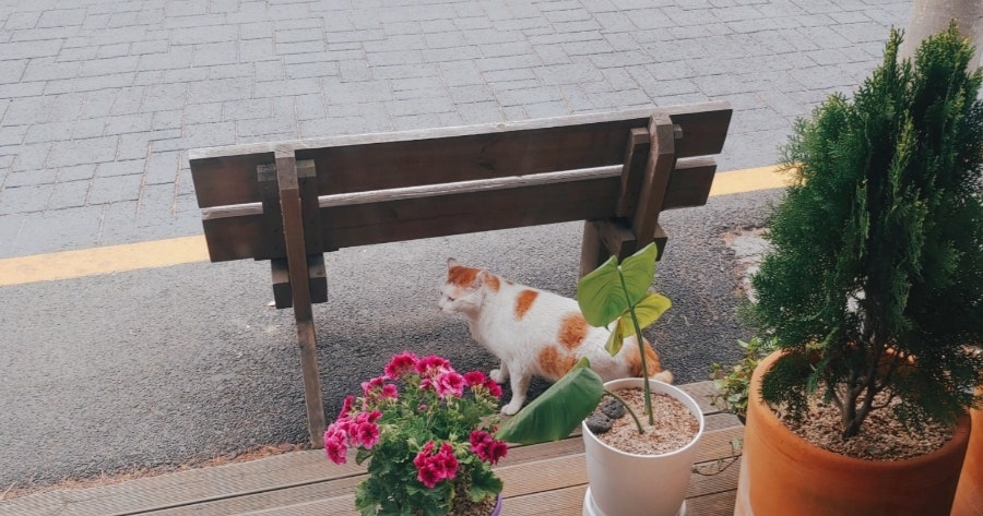 미전 사진 5