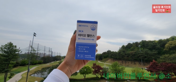  몸에 필요한 종합영양제 고르는 방법 NCA공법 종합영양제추천(바이오밸런스)